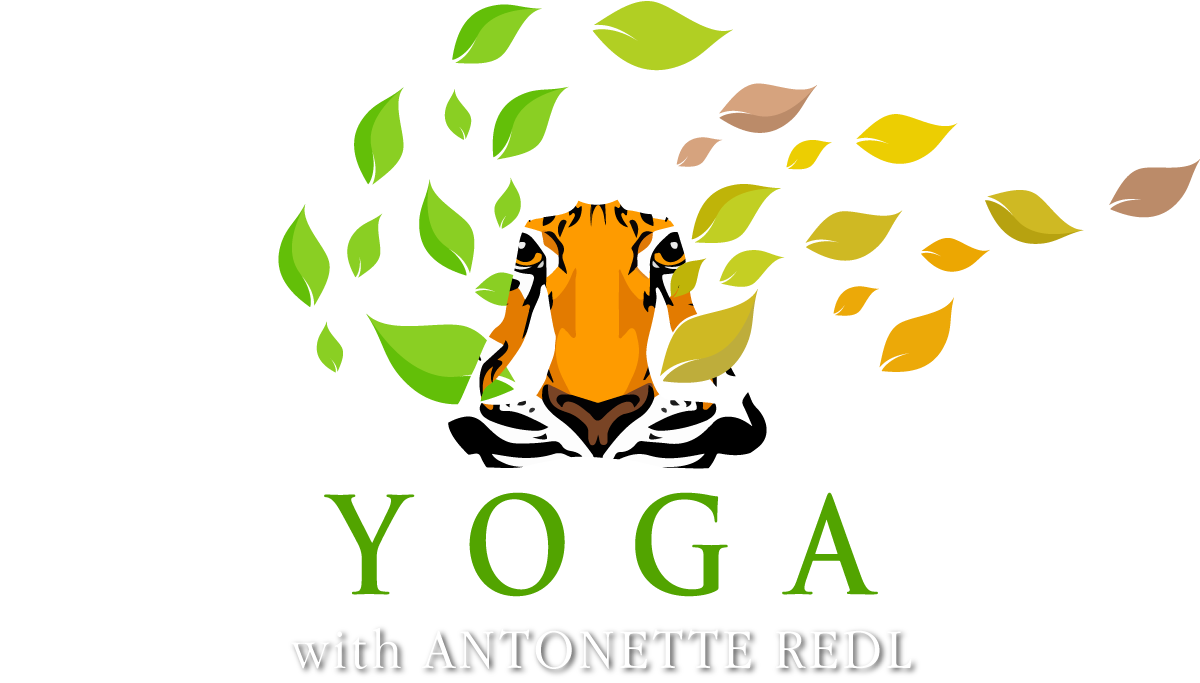 Yoga with Antonette Redl